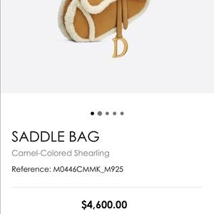 Dior Saddle Bag